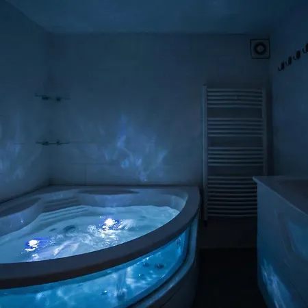 T3 Avec Jacuzzi Privatif Et Cour - Apartment Mulhouse