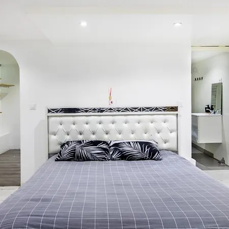 T3 Avec Jacuzzi Privatif Et Cour - * Mulhouse